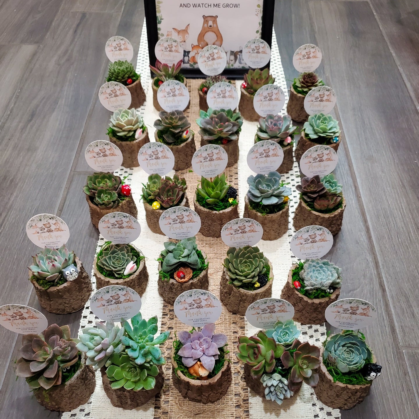 Woodland Themed Succulent Favors